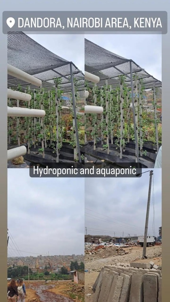 Hydroponics System